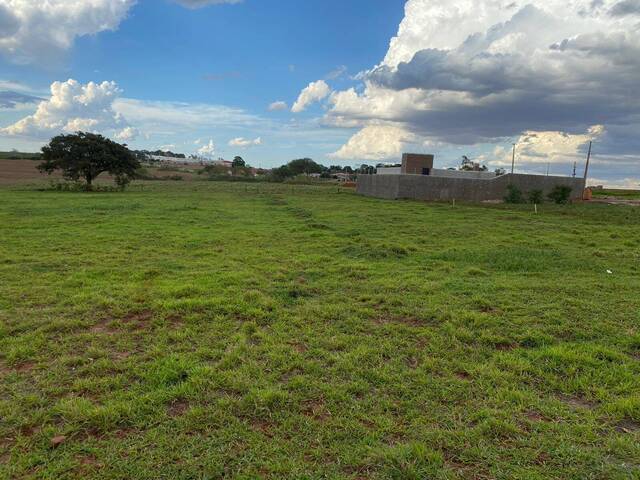 #139 - Terreno para Venda em Sabáudia - PR