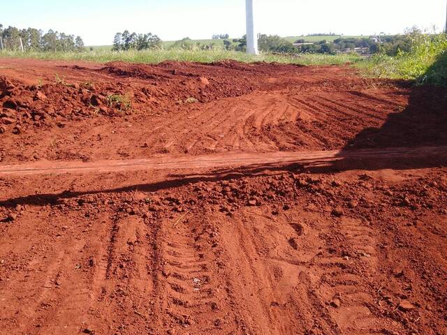 #164 - Chácara para Venda em Arapongas - PR - 3