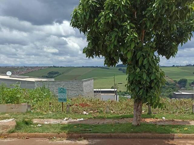 #387 - Terreno para Venda em Arapongas - PR