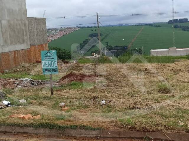 #248 - Terreno para Venda em Arapongas - PR - 2