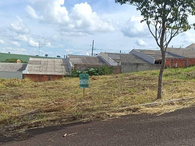 #257 - Terreno para Venda em Arapongas - PR - 1