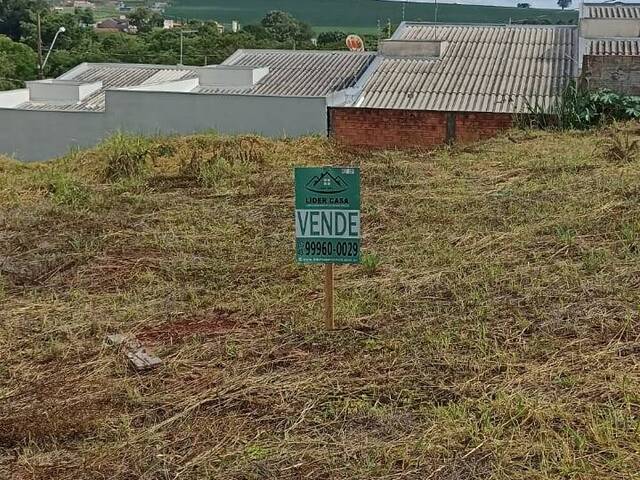 #257 - Terreno para Venda em Arapongas - PR - 3