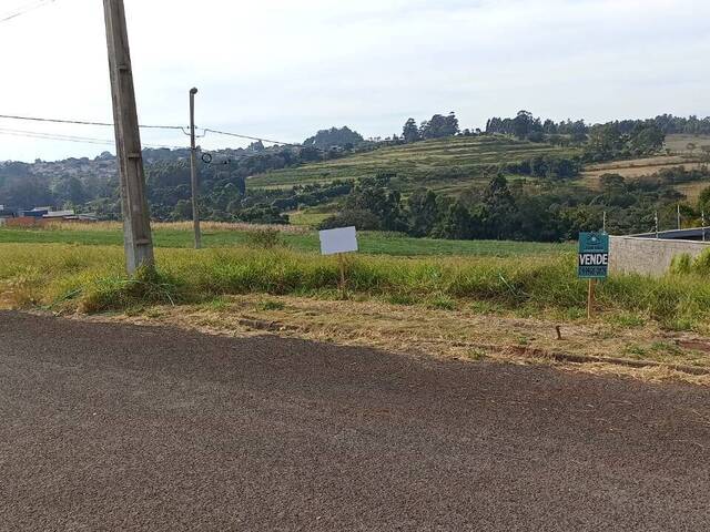 #298 - Terreno para Venda em Arapongas - PR - 3