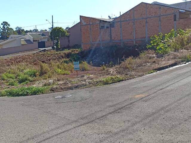 #317 - Terreno para Venda em Arapongas - PR - 2