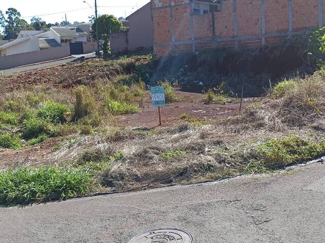 #317 - Terreno para Venda em Arapongas - PR - 3