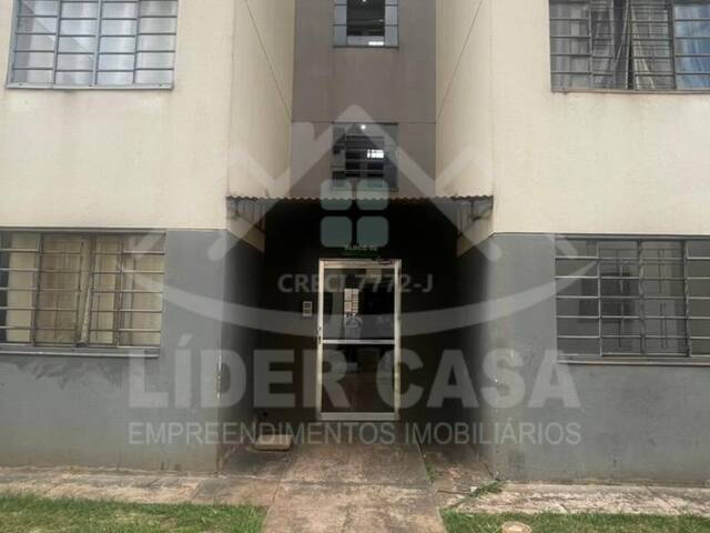 #A-274 - Apartamento para Locação em Arapongas - PR - 3